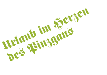 Urlaub im Herzen  des Pinzgaus